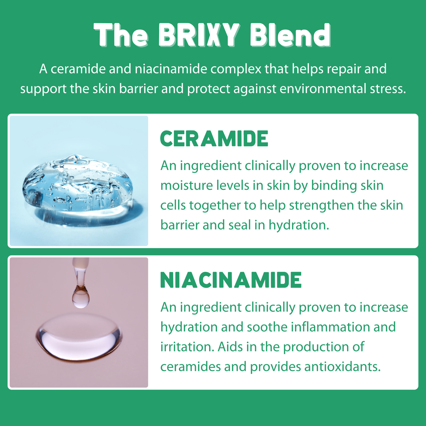 Moisturizing Body Wash Bar - Mint Eucalyptus - BRIXY