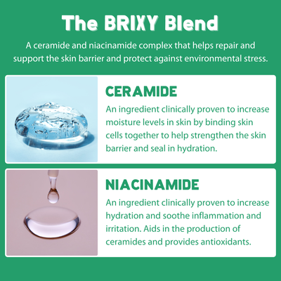Moisturizing Body Wash Bar - Mint Eucalyptus - BRIXY